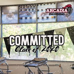 Image post by @arcadia_swim on Instagram
