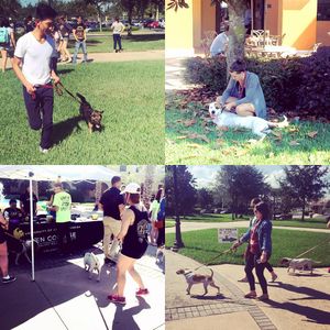 Image post by @rosencollege on Instagram