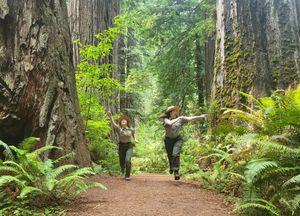 Image post by @NatlParkService on Twitter