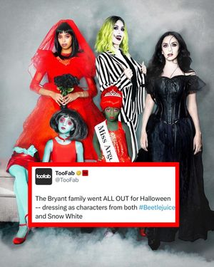 Video post by @houseofhighlights on TikTok