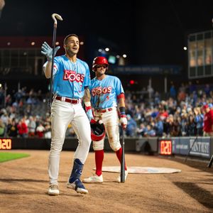 Image post by @thechicagodogs on Instagram
