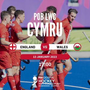 Image post by @team_wales on Instagram
