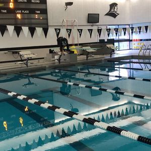 Image post by @pcswimdive on Instagram
