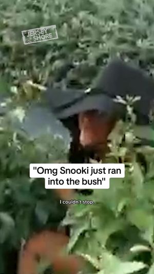 Video post by @hulu on TikTok