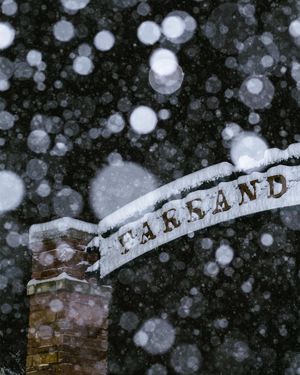 Image post by @cubuffswbb on Instagram