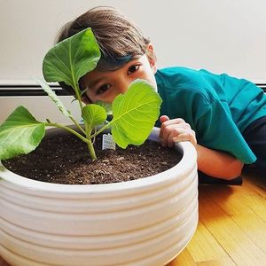 Image post by @bonnieplants on Instagram