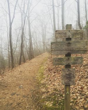 Image post by @outdoorsfsu on Instagram