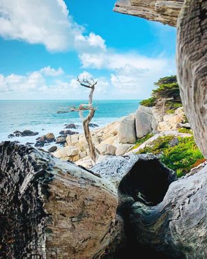 Image post by @pebblebeachresorts on Instagram
