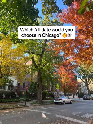 Image post by @chicago.by.ren on TikTok