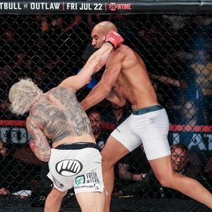 Image post by @bellatormma on Instagram