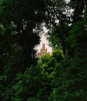 Image post by @_dr_woo_ on Instagram