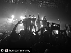 Image post by @thirdeyeblind on Instagram