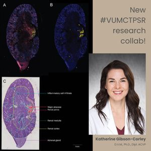 Image post by @vumcpathology on Instagram