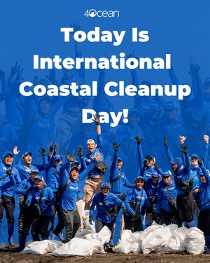 Image post by @4ocean on Instagram