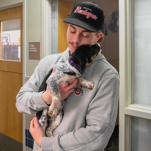 Image post by @ohiostatemhky on Instagram