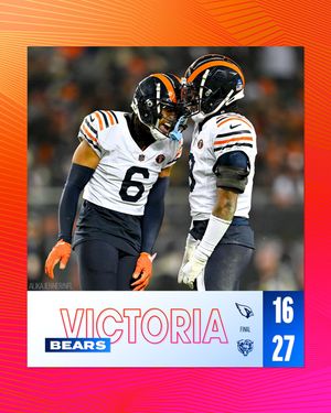 Image post by @bears_es on Instagram