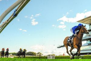 Image post by @australianturfclub on Instagram