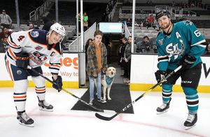 Image post by @sjbarracuda on Instagram