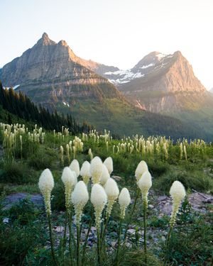 Image post by @andyaustinphoto on Instagram