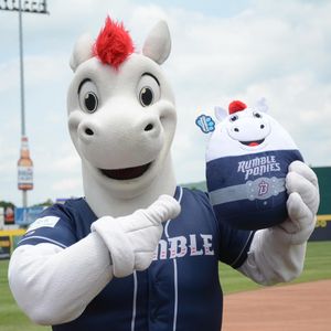 Image post by @rumbleponiesbb on Instagram