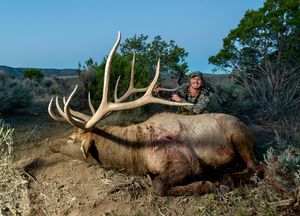 Image post by @bowmarbowhunting on Instagram