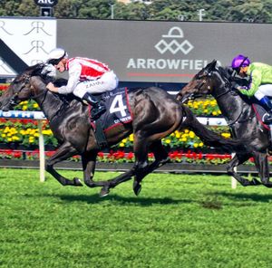 Image post by @australianturfclub on Instagram