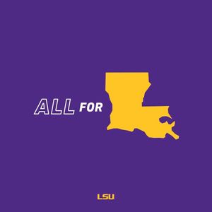 Image post by @lsusoftball on Instagram