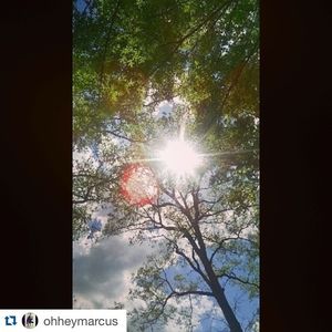 Image post by @iupedu on Instagram