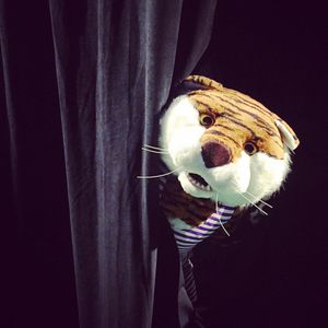 Image post by @lsumiketiger on Instagram