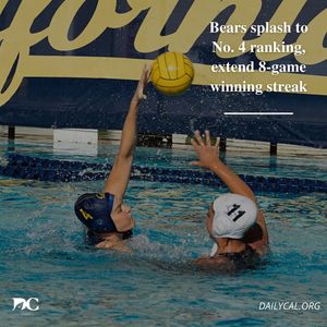 Image post by @dailycalsports on Instagram