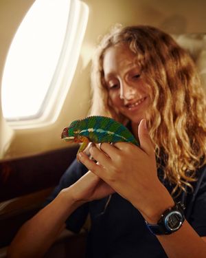 Image post by @wheelsup on Instagram