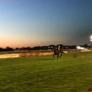 Image post by @australianturfclub on Instagram