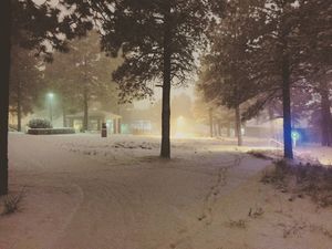 Image post by @nauflagstaff on Instagram
