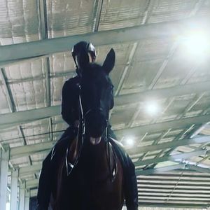 Image post by @ankehawke on Instagram
