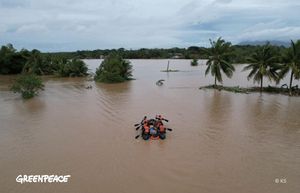 Image post by @Greenpeace on Twitter