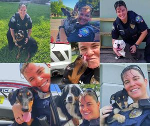 Image post by @palmbaypd on Instagram