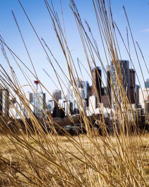 Image post by @cityofcalgary on Instagram