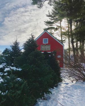 Image post by @themainemag on Instagram