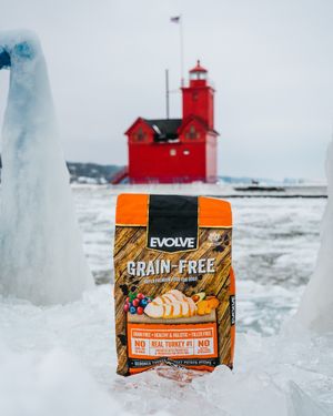 Image post by @evolvepetfood on Instagram