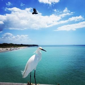Image post by @visitsarasotacounty on Instagram