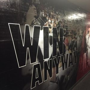 Image post by @gamecockbaseball on Instagram