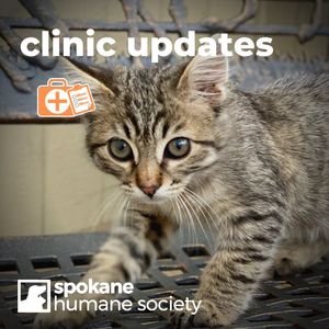 Image post by @spokhumanesoc on Instagram