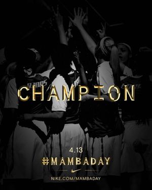 Image post by @mt_wbb on Instagram