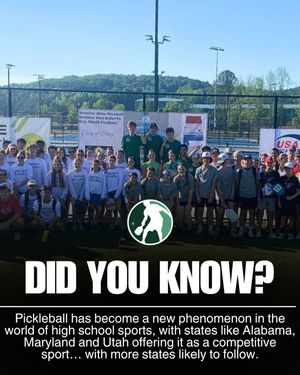 Image post by @thepickleballclinic on Instagram