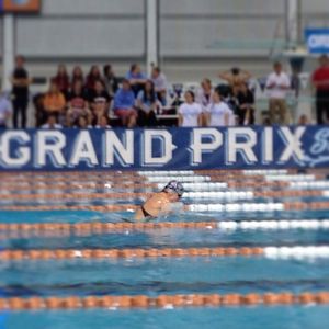 Image post by @arenausa on Instagram