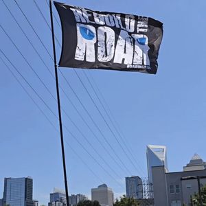 Image post by @roaringriot on Instagram