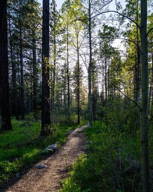 Image post by @tracethom on Instagram