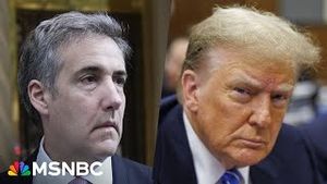 Video post by @msnbc on YouTube