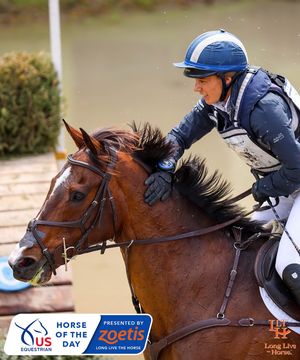Image post by @usequestrian on Instagram