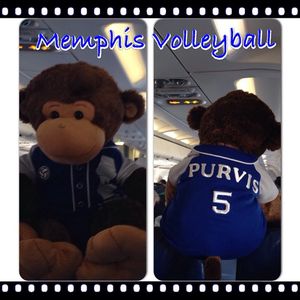 Image post by @memphisvball on Instagram